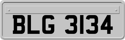 BLG3134