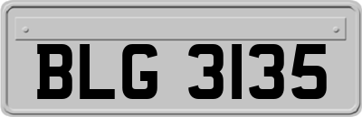 BLG3135