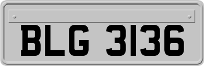 BLG3136