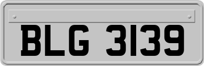 BLG3139
