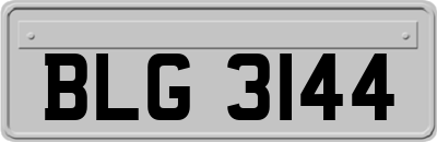 BLG3144