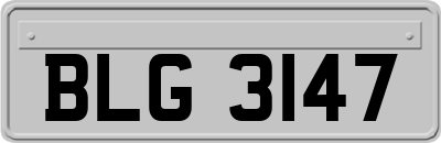 BLG3147