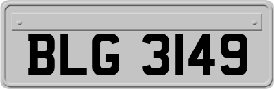 BLG3149