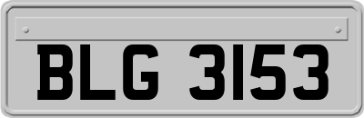 BLG3153
