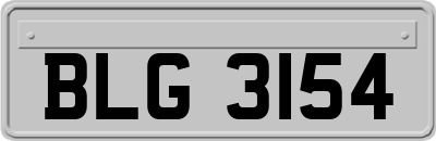 BLG3154