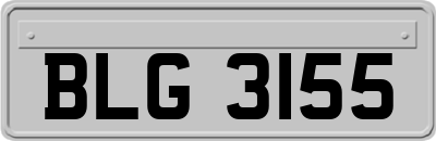 BLG3155