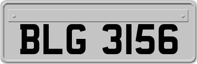 BLG3156