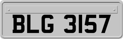 BLG3157