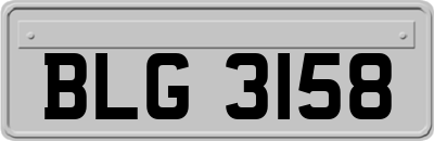 BLG3158