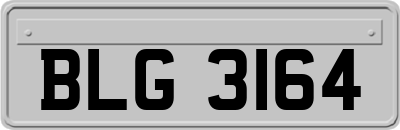 BLG3164