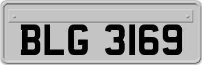 BLG3169
