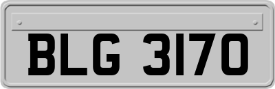 BLG3170