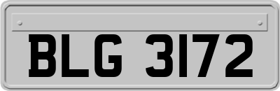 BLG3172