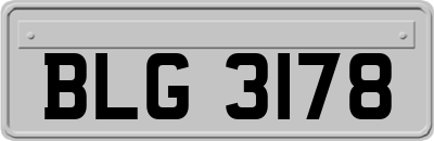 BLG3178