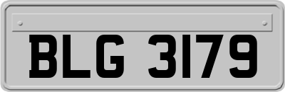 BLG3179