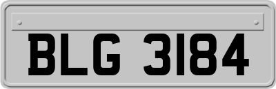 BLG3184
