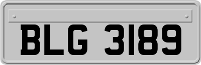 BLG3189