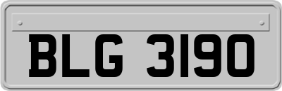 BLG3190