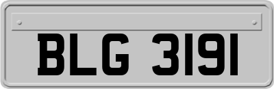 BLG3191