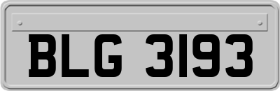 BLG3193
