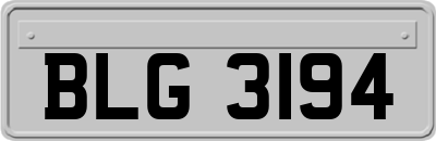 BLG3194