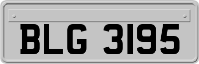 BLG3195