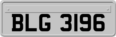 BLG3196
