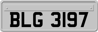 BLG3197