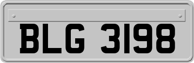 BLG3198