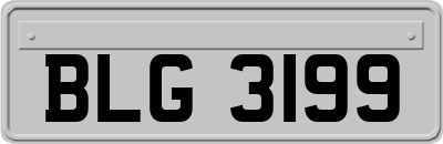 BLG3199