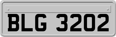 BLG3202