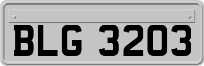 BLG3203