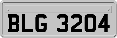 BLG3204