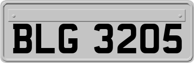 BLG3205