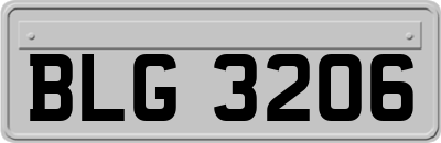 BLG3206