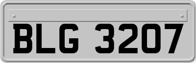 BLG3207