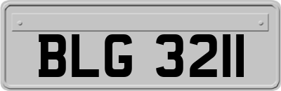 BLG3211