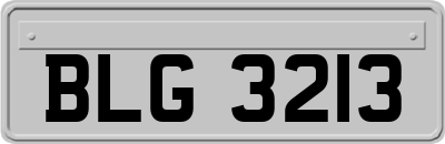 BLG3213