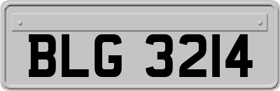 BLG3214