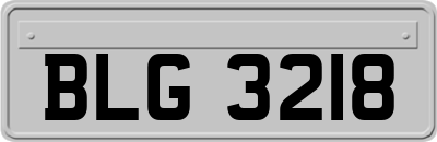 BLG3218