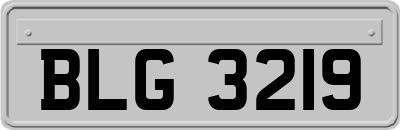 BLG3219