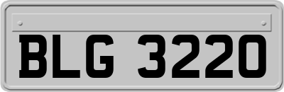 BLG3220