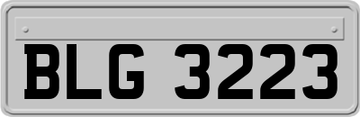 BLG3223