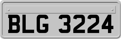 BLG3224
