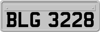 BLG3228