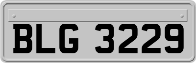 BLG3229