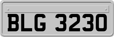 BLG3230