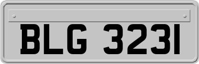 BLG3231