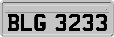 BLG3233