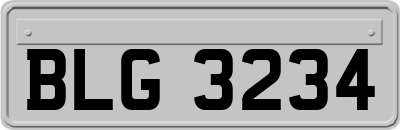 BLG3234